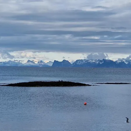 Roligheten Lodge In Andenes Exterior photo