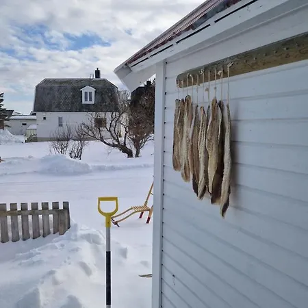 Roligheten Lodge In Andenes Exterior photo