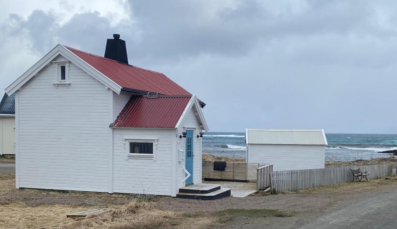 Roligheten In * Andenes